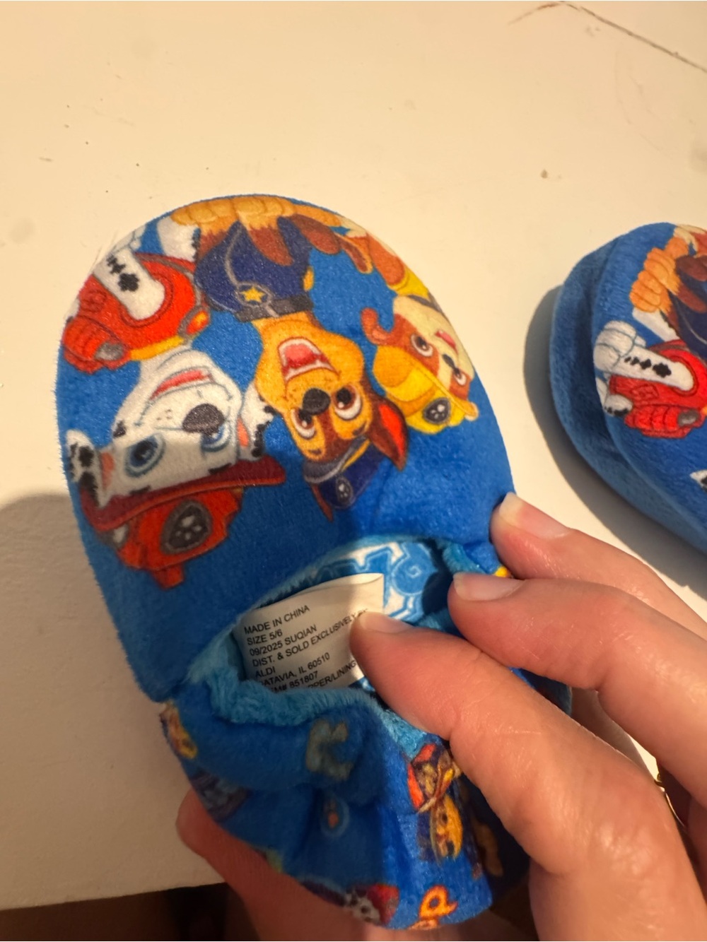 Paw Patrol Blue Kids Slippers with Character Print